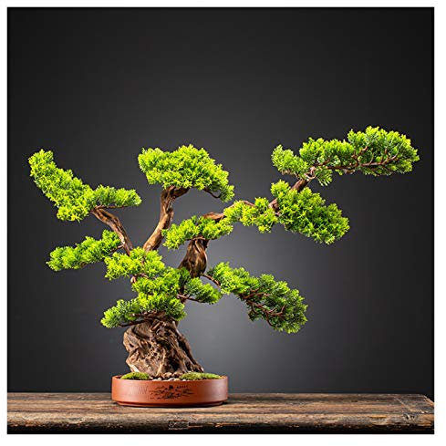 Künstlicher Bonsai-Baum Willkommen Kiefer Klippe Zypresse Simulation Bonsai Wohnzimmer Hotel Eingang Dekoration Ornamente Lila Sand Blumentopf Topfpflanzen Simulation Bonsai-Bäume (Farbe: A) Good