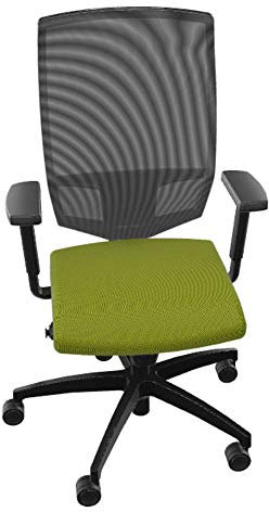 Dauphin Adjust Magic S ergonomischer Bürostuhl mit Netzrücken, fürs Home Office (grün, Ohne Nackenstütze)
