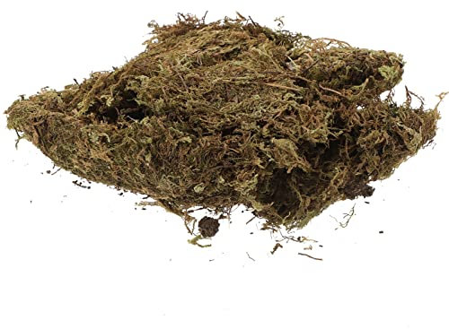 POPETPOP Waldmoos Für Hamster Einstreu Verschachtelung 2 Packungen Rennmäuse Hamsterkäfige Zubehör Terrarium Mikrolandschaft Getrocknetes Moos Konserviertes Blumenmoos