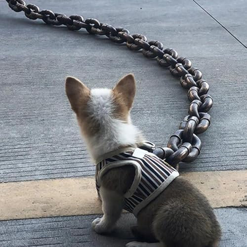 Hundeleine Kette | Lustig Haustierleinen Für Hunde | Hundeleine Große Hunde | Lustige Kettenhundeleinen | Welpenketten Großes Hundese | Hundetrainingsleinen Für Alle Arten Von Hunden