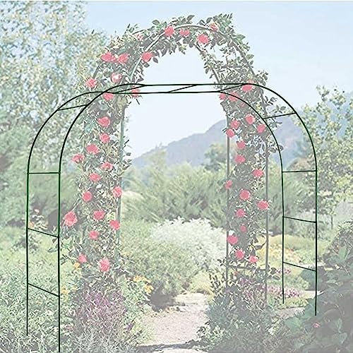Arche de jardin en métal pour plantes grimpantes, arches de roses robustes avec grand support de fleurs, décoration de jardin pour arche, noir/vert, 1,2 m x 2,2 m