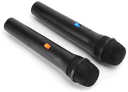 Solinder Microphone sans Fil Portable VHF Microphone sans Fil Universel, Micro Portable Plug and Play avec Récepteur USB, pour karaoké, Performances en Direct (1 pour 2)
