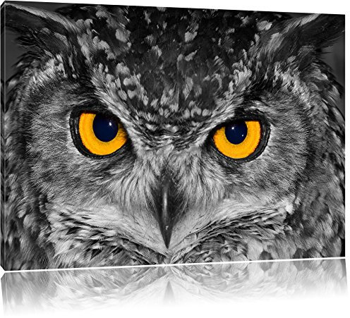 Pixxprint Wunderschöne Eule mit gelben Augen B&W, Größe: 60x40cm, Leinwandbild, fertig gespannt, Wandbild, Dekoration, Kunstdruck, kein Poster