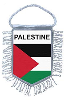 Akachafactory Fanion Mini Drapeau Pays Voiture Decoration Palestine palestinien