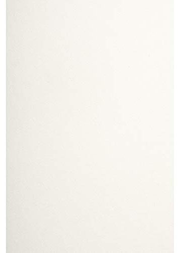 Netuno 1000x Naturpapier Elfenbein DIN A4 210 x 297 mm 170g Arena Smooth Ivory Druckerpapier Geschäftspapier Laserpapier Universalpapier Papierbogen a4 für Prospekte Flyer Broschüren Werbeblätter