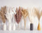 125 PCS Ramo de Hierba Pampa Seca, Decoración de Mesa Boho, Flores Secas de Colas de Conejo, Pampas Marrones, Pampas Blancas para Bodas, Decoración del Hogar