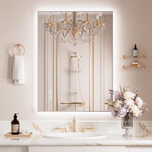 WEER Backlit Bathroom Mirror with LED Lights, 60 x 80 cm Silver Metal Frame Illuminated Wall Mirror with Demister Pad, Dimmable, 3 Colors, IP44 Waterproof, HD Tempered Glass, Vertical or Horizontal