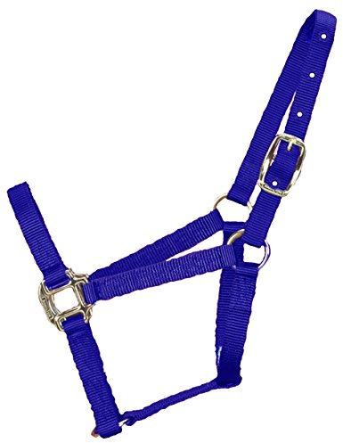 Hamilton 3/4-Inch Nylon Quality Horse Halter, Weanling or Large Pony, 200-300-Pound, Blue