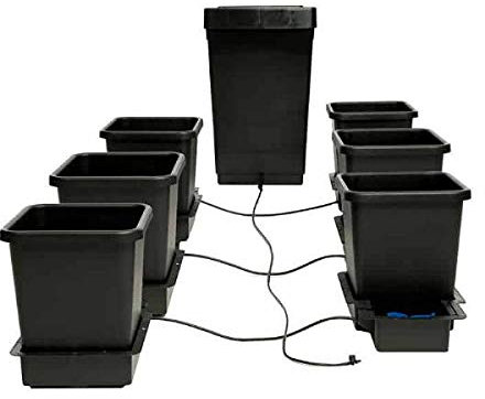 Autopot