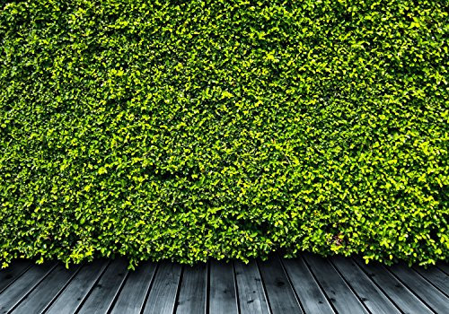 wandmotiv24 Fototapete Grüne Mauer, 400 x 280 cm - selbstklebende Strukturtapete, Wanddeko, Wandbild, Wandtapete, Natur, Grüne-wand, Pflanzen M0572
