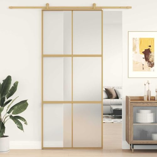 mzdioop Porta scorrevole Golden, 90 x 205 cm, in vetro ESG opaco, in alluminio con vetro spesso 5 mm, telaio robusto per corridoio e ingresso di casa, porta interna, silenziosa, sicura e moderna