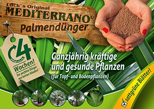 Mediterrano Palmendünger, Hanfpalmendünger, Freilandpalmendünger 10 Kg Original Mediterrano