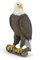 Papo -Handbemalt - Figuren -Wildtiere Der Welt-Seeadler-50181-Sammelbar-Für Kinder - Geeignet für Jungen und Mädchen - Ab 3 Jahren