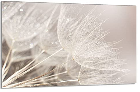 Herdabdeckplatte 80x52 cm 1-teilig Ceranfeldabdeckung Induktion Herdschutz Spritzschutz Glasplatte Deko Schneidebrett, Löwenzahn Beige