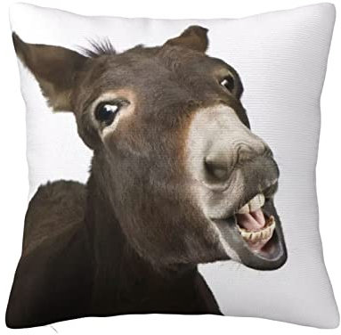 ALLiYa Lustiger Esel doppelseitiger Plüsch-Kissenbezug (mehrere Größen) Kissen Sofa Bett Kissen Innendekoration Kissen