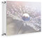 TMK ArtDeko Magnetische Heizkörperverkleidung Modernes Design Einfache Montage 60x60 Magnet Heizkörperabdeckung, Blume