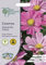 Mr Fothergill’s Cosmos Flower Seeds, RHS Sensation Pinkie, Pink