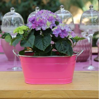 Home&Decorations Blumenkübel Pflanzkübel Pflanzentopf Blumentopf Metall Neonlook Deko Ovaler zweiseitiger Blumentopf zweiseitiger Blumentopf Rosa