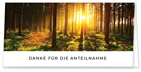 Friendly Fox Danksagungskarten Trauer mit Umschlag, 12 Trauerkarten Danksagung mit Umschlag Friedwald, Dankeskarten nach Beerdigung, Danke Karte Trauer mit Umschlag