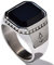 Rock and Steel Herren Ring Siegelring mit Onyx Stein, Edelstahl (Silber, 76 (24.2 mm))