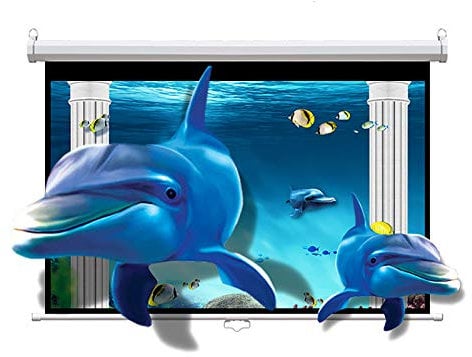 ZEELYDE Projector Screen,4:3/16:9 Pull Down Projection Manual Projector Screen with Auto Lock, Wall Or Ceiling Mountable