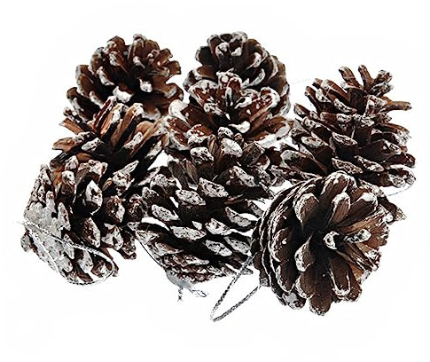 Warmhm Weihnachtsdekoration Weihnachts-tannenzapfen-requisite Eichel Tannenzapfen Herbstkiefernzapfen Hängend Tannenzapfen Kugeln Hängende Weihnachtskiefernzapfen Pinienkerne Weihnachten