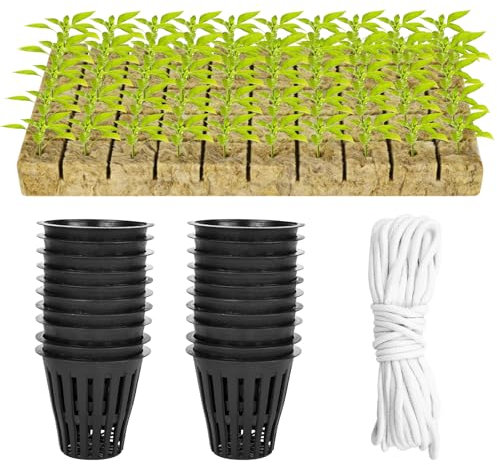 Set di 100 bicchieri a rete con cesti idroponici, inclusi bicchieri a rete da 50 2 pollici con maglie a fessura e 50 cubi in lana di pietra, con stoppino autoirrigante da 10 m, per interni ed esterni