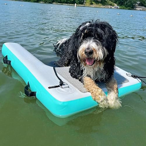 Escalier Flottante Chien Rampe Gonflable pour Chiens, échelle Flottante pour Piscine pour Animaux de Compagnie, Rampe Aquatique pour Chiens avec Tapis antidérapant en EVA(Color B)