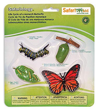 Safari 622616 Lebenszyklus eines Monarchfalters
