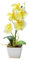Gcroet 1PC Fake ORCHIDE en Pot RÉALISTE DE 10,6 Pouces Orchidée Jaune avec 5 Fleurs Orchidée Artificielle décorative vibrante Vibrant Fake Orchid Plant pour Le Mariage du Bureau à Domicile