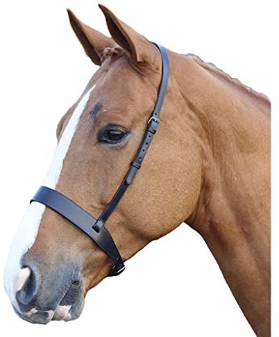 Shires Blenheim Hunter Cappeson Nasenriemen für Pferde, Reitsport, Veranstaltungen