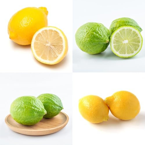 Zitronenbaum winterhart - samen kübelpflanzen winterhart zitronenbaum echt obstpflanzen säulenobst bio saatgut - Seltene pflanzen serie - balkonpflanze zitronensamen obst frisch 15pcs