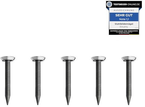 30 chiodi da 20 mm di lunghezza – Chiodi in acciaio per uso su cemento, mattoni, intonaco e legno – Chiodi in acciaio temprato come immagini da appendere – Made in Europe (testa argentata, 20 mm)