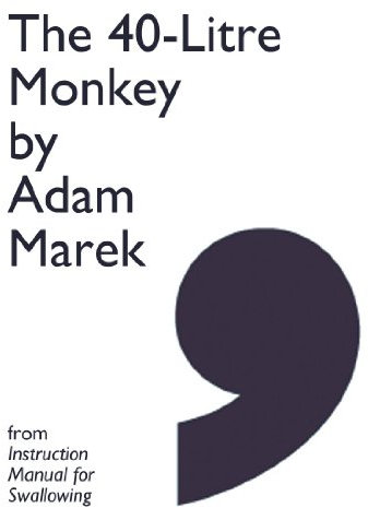 The 40-Litre Monkey - eBook single (Comma Singles) (English Edition)