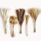 DATEFUN Pampasgras Trockenblumen Deko - 110 Stück Weiß mit Bunny Tails Getrocknete Blumen, Schilfgras - Natürliche Pampasgras Getrocknet für Boho, Wohnzimmer, Hochzeit, Tisch, Home Deko
