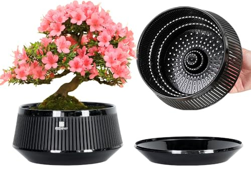 Meshpot Bonsai Pots with Drainage Tray, Plastic Imitate Ceramic Bonsai Tree Pot with Excellent Airflow, Large Succulent Pots for Indoor Plants, Juniper, Ficus, Chinese Elm, Cactus, 8 Inch, Set of 1