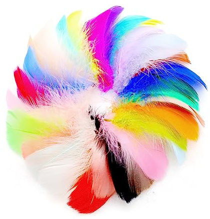 Jagowa 100 Pcs Feathers for Crafts, Colorful Feathers, Natural Goose Feathers for DIY Handmade Crafts Gift Box Filling Ornament Decoration (Multicolor)
