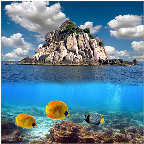 Wallario Glasbild Exotische Fische im Meer - 50 x 50 cm Wandbilder Glas in Premium-Qualität: Brillante Farben, freischwebende Optik