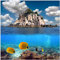 Wallario Glasbild Exotische Fische im Meer - 50 x 50 cm Wandbilder Glas in Premium-Qualität: Brillante Farben, freischwebende Optik