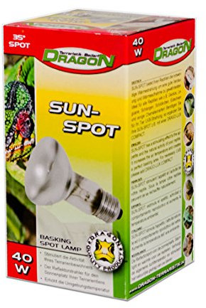 Dragon – Reptiles Basking Spot Projecteur – Spot 40 W