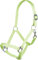 HKM Stars Economy Softice Halfter Grün Pony