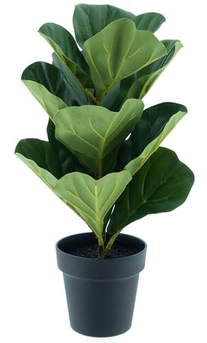 mucplants künstlicher Ficus Lyrata im schwarzen Kunststofftopf 50 cm Kunstpflanze Zimmerpflanze