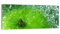 DEQORI Glasbild Echtglas | Motiv Erfrischende Vitalität | horizontal einteilig 150x60 cm | schöne Dekoration | Wandbild für Wohnzimmer, Schlafzimmer, Flur & Küche | moderne Wanddeko