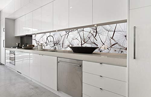 DIMEX LINE Paraschizzi Auto-Adesiva per la Cucina Semi di TARASSACO 350 x 60 cm | Resistente all’Acqua | QUALITA‘ Premium