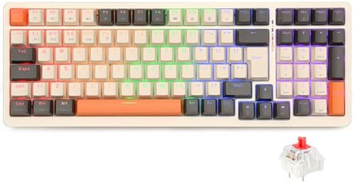 Rii Mechanical Keyboard,Wireless Gaming Keyboard Rechargeable with 101 Keys Red Switch 20 Modes RGB Backlit 3 Modes(BT5.0/2.4G+USB C) for Win/Mac PS Xbox