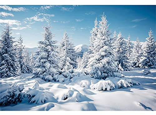 Ttincceer Fondo de Nieve de Invierno 300x250cm Bosque de Pinos Montaña Nevada Paisaje Nevado Fondo de Fotografía Vinilo White para Decoración Navideña