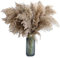 ikasus 20Stück Pampasgras Getrocknet Phragmites 30-40cm Flauschige natürliches getrocknetes Pampasgras Dekor Boho getrocknete Blumen Blumen Vasen Deko für Inneneinrichtungen Fotografie Hochzeit