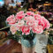 semillas de clavel perenne - Dianthus caryophyllus - plantas exóticas resistentes semillas de guillermo semillas de plantas de exterior Decoración salón jardín plantas Semillas de 420pcs