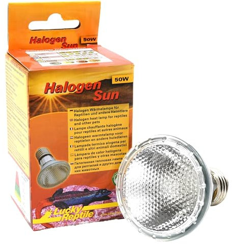 Lucky Reptile Halogen Sun - 50 W Wärmestrahler für E27-Fassungen - Halogenstrahler für Reptilien - Terrarium Lampe mit Tageslichtspektrum - Wärmelampe dimmbar - Zubehör Terrarium, 1 Stück (1er Pack)