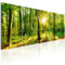 B&D XXL - Akustikbild Wald 200x80 cm 5 tlg Leinwand Bilder Akustikschaum Schallschutz Akustikpaneele Wandpaneele Schalldämmung Schallabsorber Akustikplatten Waldlandschaft Natur Baum c-B-0184-b-m